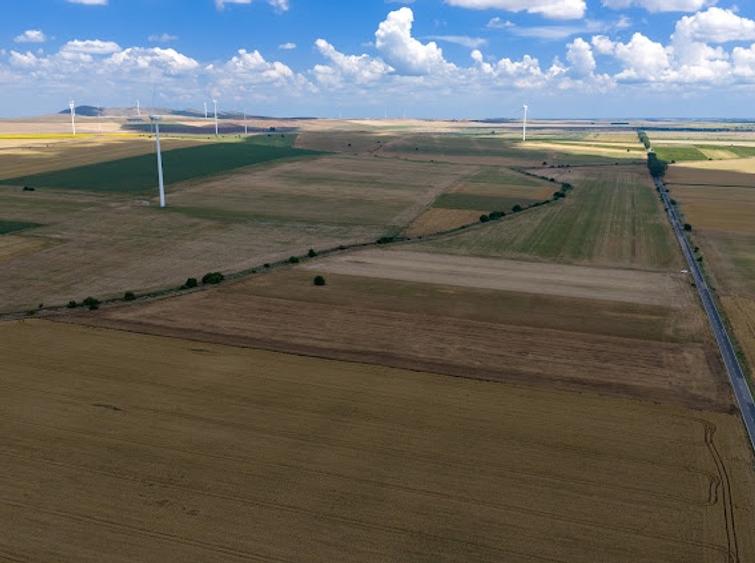 Vând teren agricol la șosea de 30.000mp în Iazurile comuna Valea Nucarilor