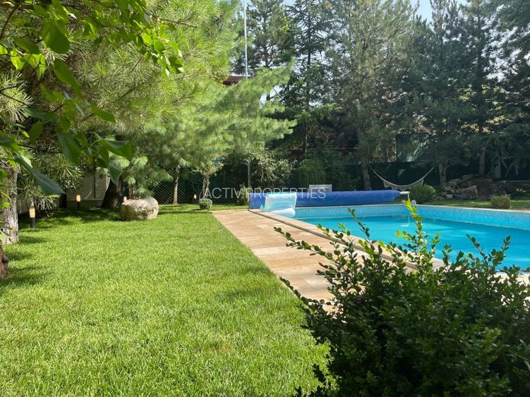 Resedinta deosebita,renovata 2023,P+2,garaj 2 loc, sauna, piscina, teren 1130 mp - 20