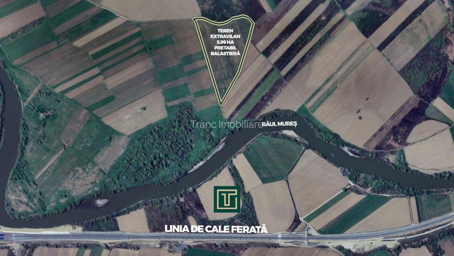 Teren extravilan de 5,99 ha la 200 m de Mureș, ideal pentru balastieră în Ususău - 5
