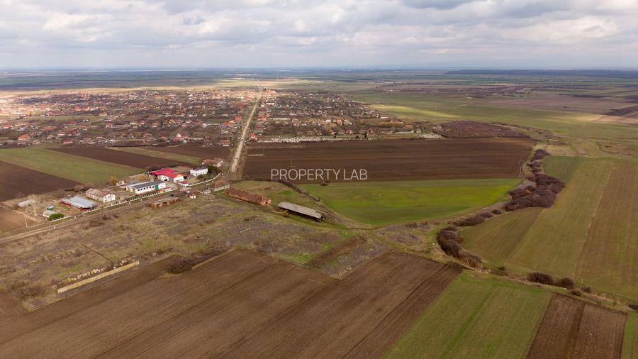 Fermă cu teren intravilan de 35000 mp în Mișca - 5