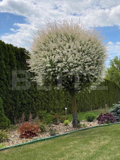 Vilă la Lac în Zona Apa - Oază de Confort și Eleganță