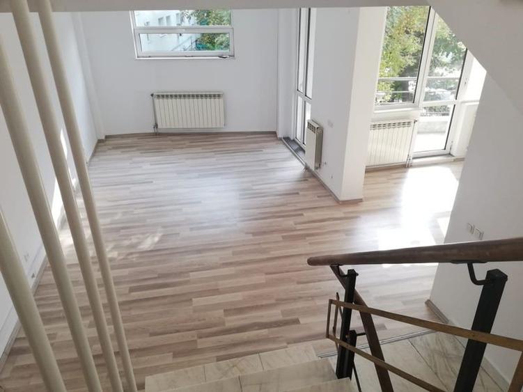 Vila la inchiriere in zona Titulescu