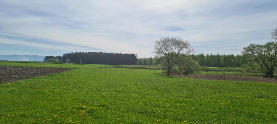 TEREN EXTRAVILAN - 2.100 mp - RECI