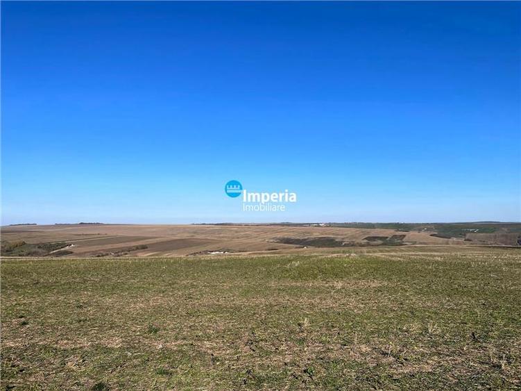 Rediu Horlesti 30000 mp Soseaua DJ 282