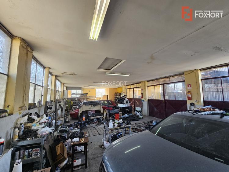 Oportunitate afacere: Spatiu industrial + Casa de locuit - Bogdanestilor - 32