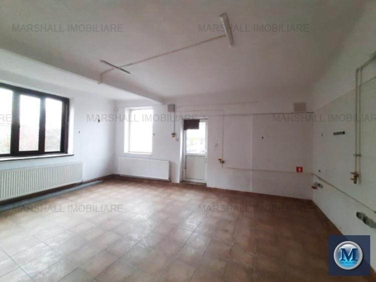 Vila cu 11 camere de vanzare, zona Gheorghe Doja, 237.7 mp #16106