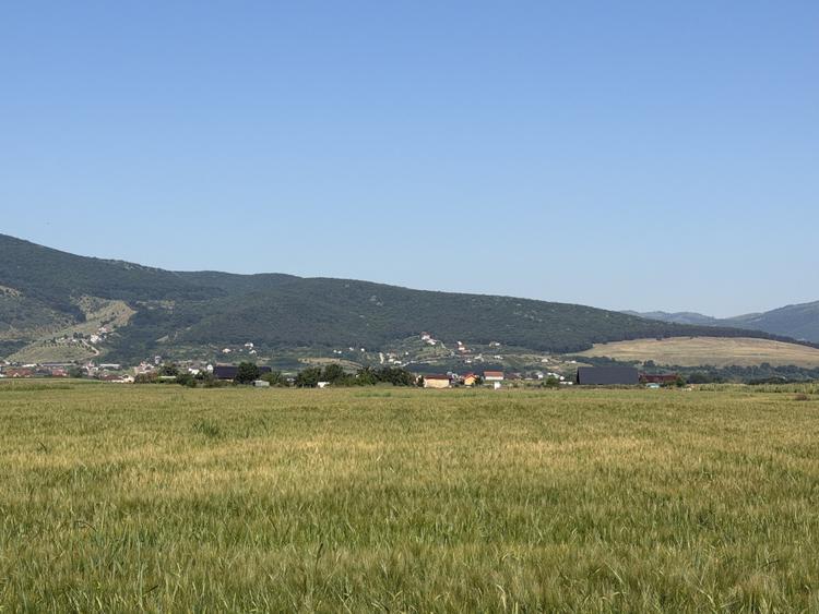 Teren Extravilan | 11.100 MP | 32M Deschidere| Orizont-Bărăbanț | OPORTUNITATE |