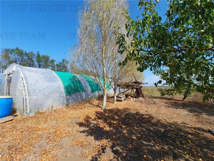 Teren intravilan agricol si teren curti constructii Lot 2 Parcela A326/49