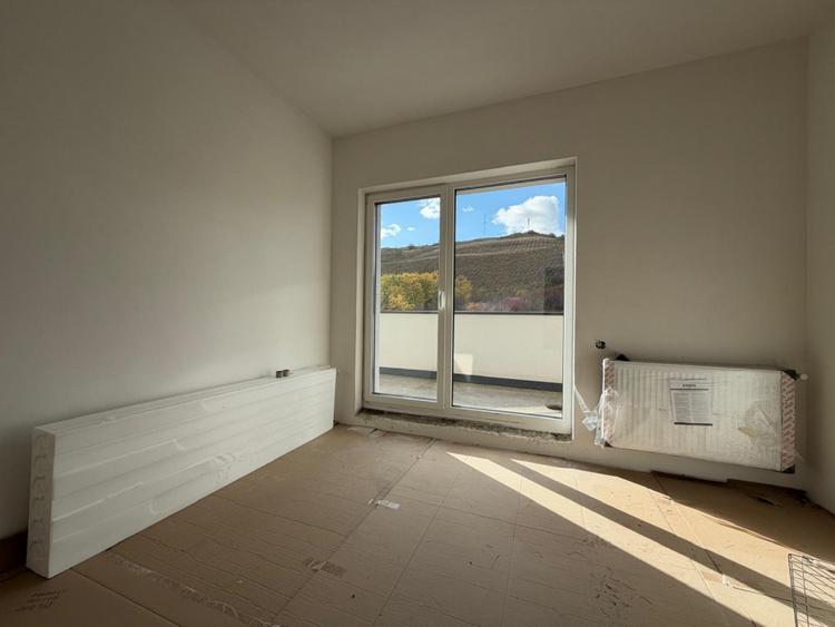 Apartament deosebit, terasa cu vedere spre padurea Faget, zona Vivo