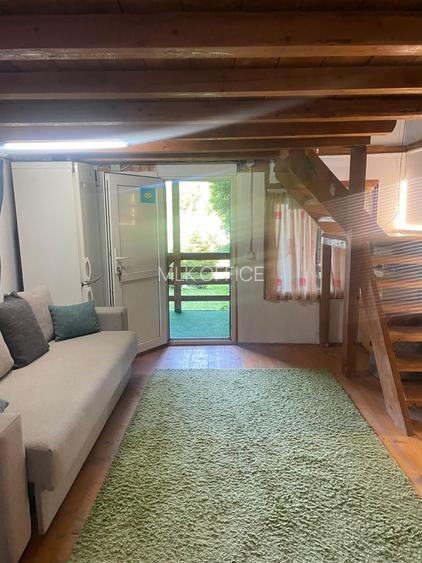 Cabana de vanzare in Capusu Mare - 5