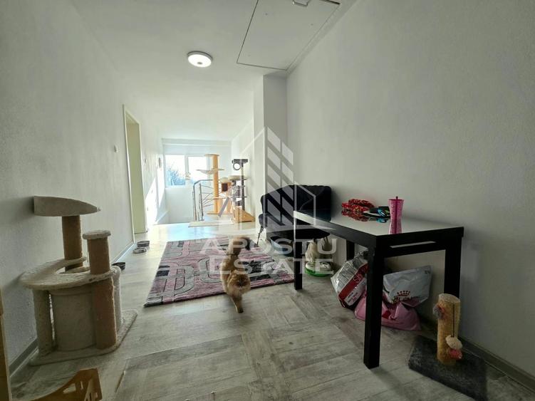 Casa individuala de vanzare, vatra satului Sag, teren de 1.800 mp, mobilata