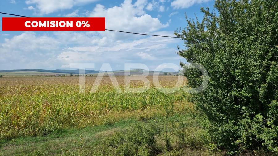 Oportunitate investitie Comision 0% 28000 mp in Sura Mica Sibiu