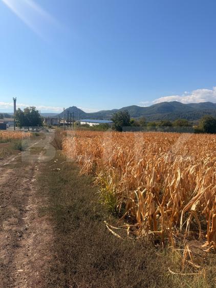Teren intravilan cu panoramă asupra orașului și utilități complete