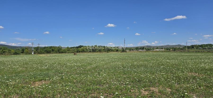Teren în zona Răscruci – ideal pentru hală, toate utilitățile - 10