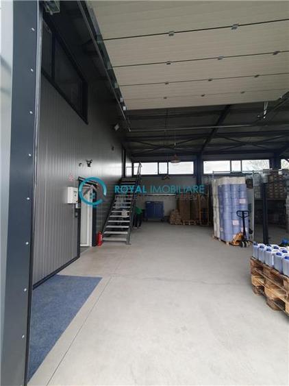 Royal Imobiliare - Vanzare spatiu industrial in zona Paulesti