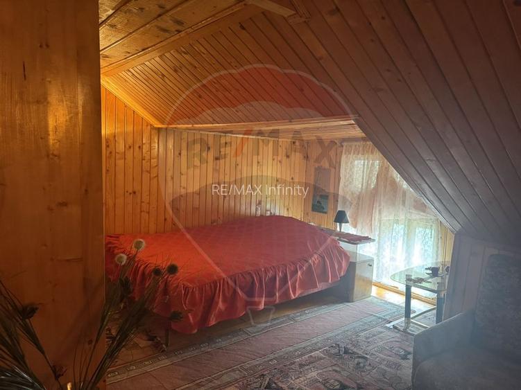 Cabana autentica de munte Frasinet - Baisoara 600 mp teren - 21
