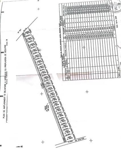 Vanzare teren intravilan Cernica_Tânganu, lot 954mp