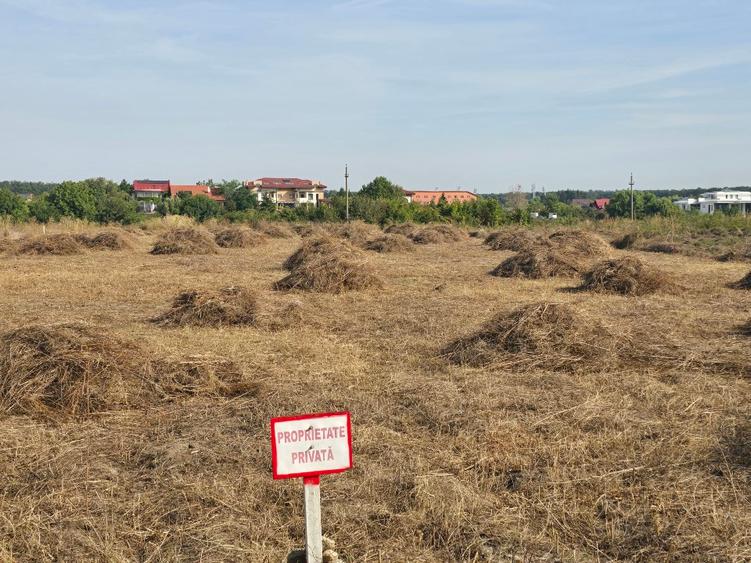Proprietar vand teren Mogosoaia deschidere la lac 150 EURO/mp negociabil