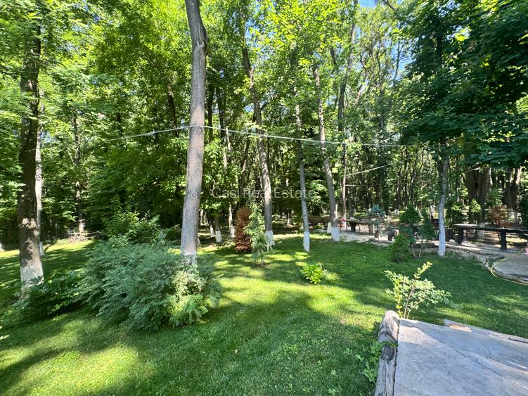Vilă de lux 8 camere -600 mp si  4.750 mp teren cu ieșire in pădure zona pipera - 22
