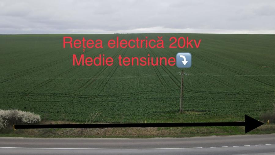 Giarmata Mare ,judetul Timis/teren 3,8 ha/preț 4 euro /mp