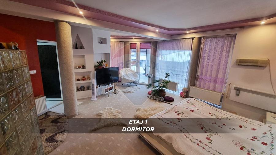 Casă / Vilă cu 10 camere de vânzare în SIGHETUL MARMATIEI zona Central