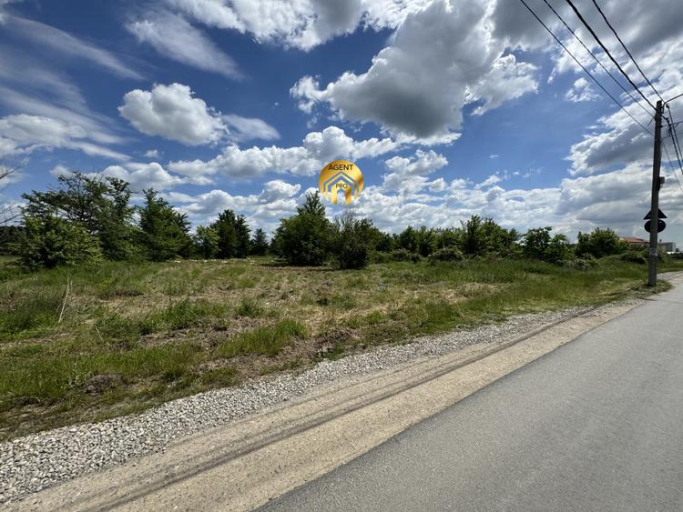 Teren Intravilan 20.000mp - Locatie Excelenta langa Penny Odaile!