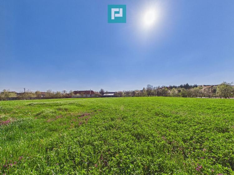 Teren intravilan 3024 mp, în comuna Almaș, Arad
