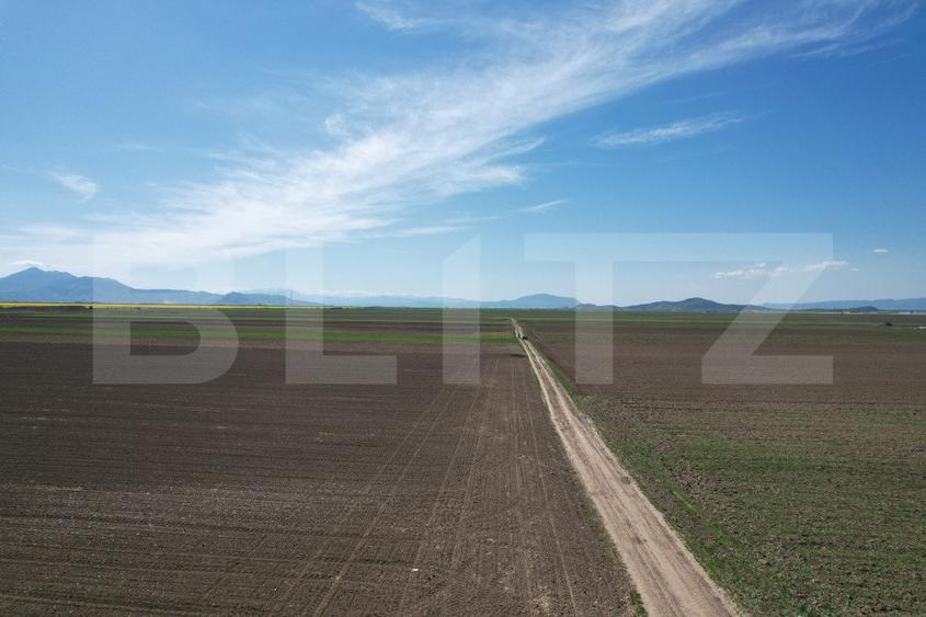 Teren extravilan, 17700mp, zona Prejmer