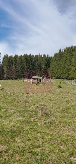 Teren intravilan 2500 mp in Valea Doftanei - 3