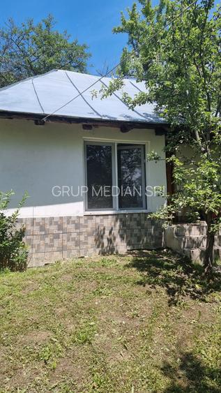 Proprietate de vanzare in Golești - 10800 mp teren și două case - 2