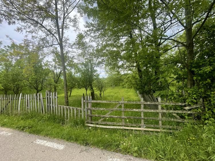 Teren intravilan Sotrile 6762 mp – Investitie, camping, agroturism