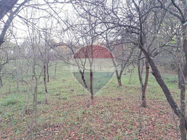 Teren intravilan 3500mp | Cotofenesti, Prahova - 4