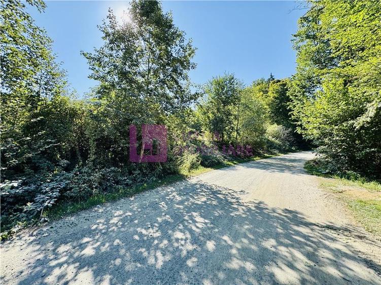 Teren intravilan 3000 mp | Valea Avrigului | deschidere 80 ml