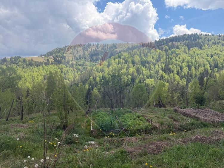 Domeniu Agro-Turistic 6.2ha, Glamping,Case Hobbit&Autonomie Energetica