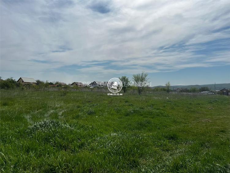 Teren de vanzare in Dancu - 2