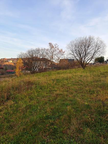 Teren de vânzare 1000 mp – Sălicea, Ciurila (doar 15 minute de Cluj-Napoca)