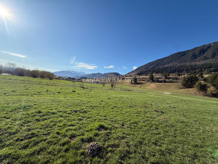 Teren intravilan In Zarnesti zona Plaiul Foii deschidere asfalt si priveliste - 13