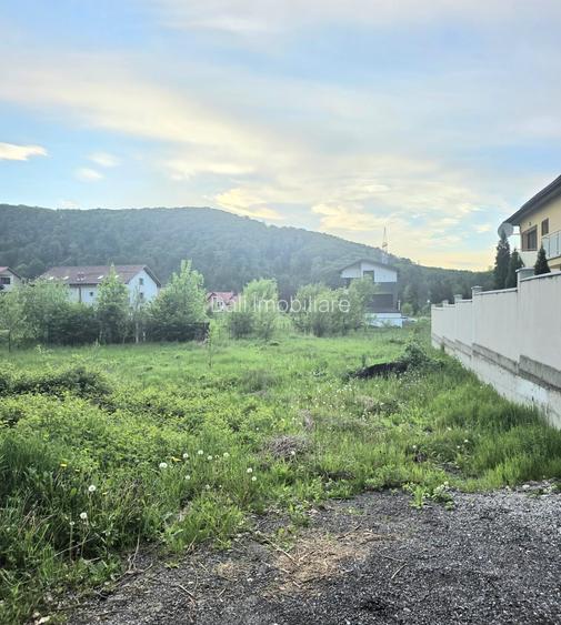 Teren intravilan intre case în Bunloc, lângă pădure – 604 mp - 4
