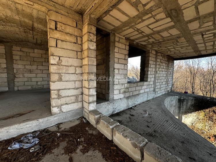 Vanzare Casa individuala D+P+E la ROSU cu 517 mp utili Teren 1100 mp d=19 Alba - 4