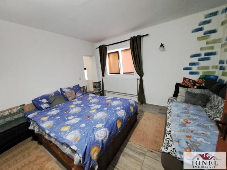 Vanzare casa cu 19.549 mp teren in Vintu de Jos - Valea Vintului