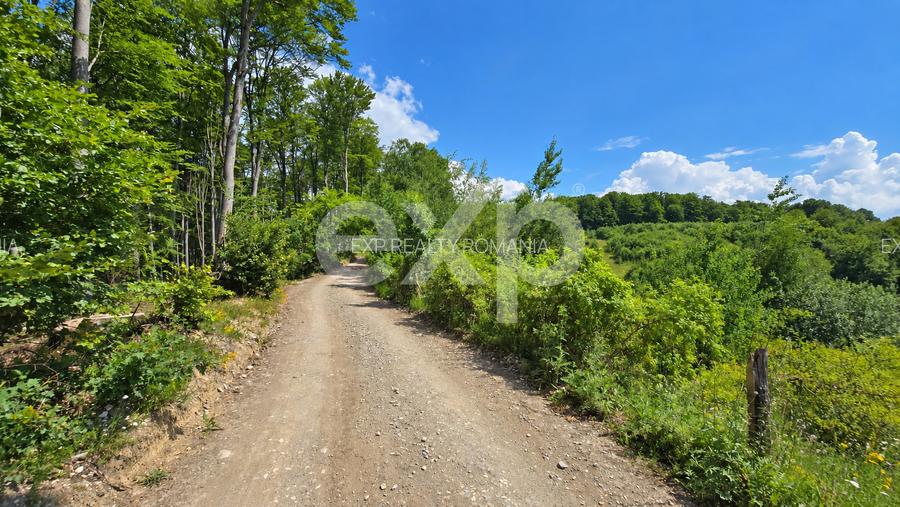 Teren de 4000 mp cu potențial - 2