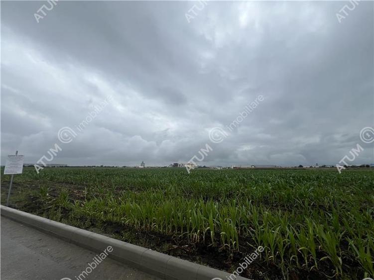 Teren intravilat de 36122 mp cu PUZ situat in zona Industriala Vest