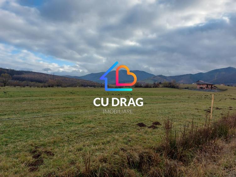 Oportunitate INVESTITIE teren Tocile la granita cu cart. Tineretului