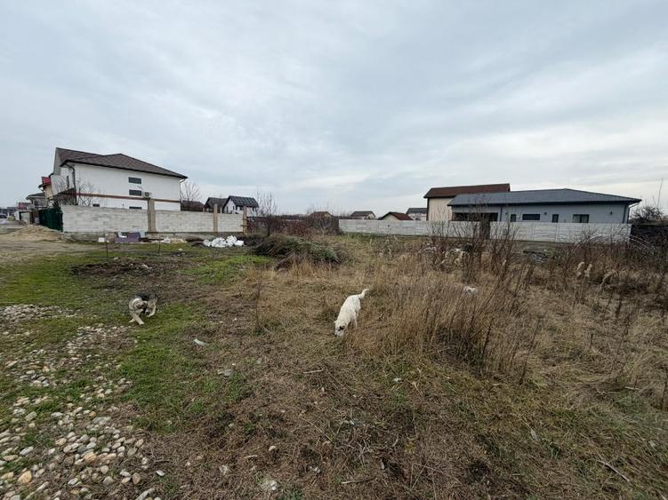 Teren Intravilan de Vanzare Aeroportului Cornetu