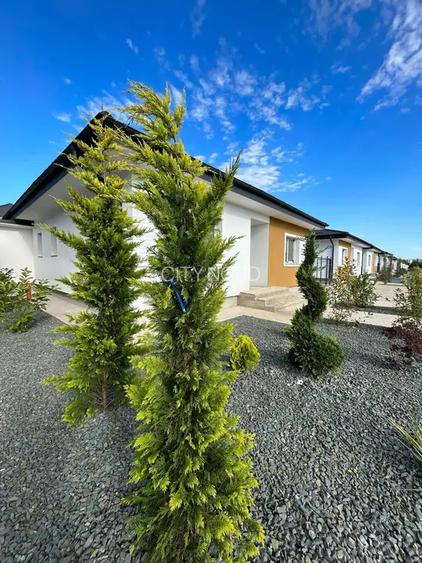 Vila individuala spectaculoasa, gradina mare, ansamblu LUX - 5