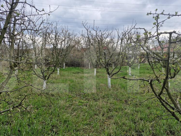 Teren de 2700 mp, deschiderea la strada principala, Borscauti-Dorohoi