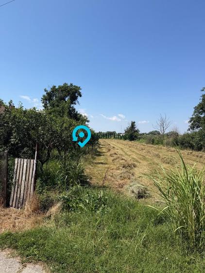 Teren intravilan 4.000 mp Comana (Budeni) | 10 €/mp negociabil | Comis