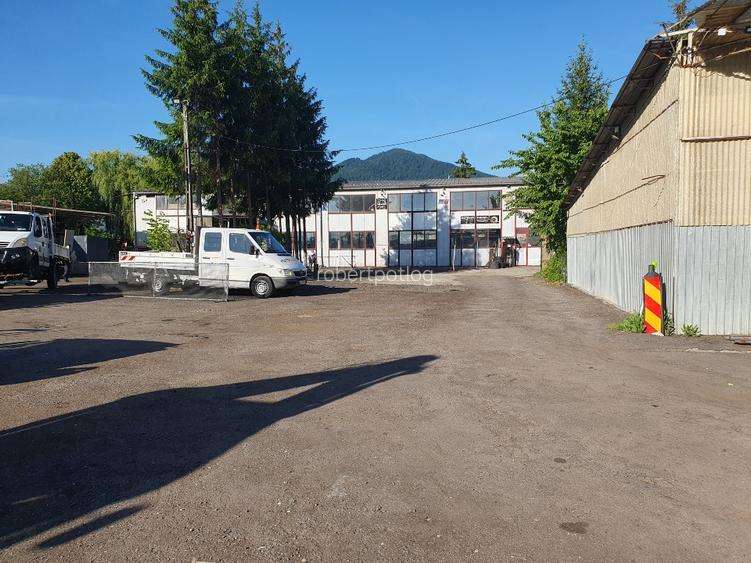 Hala industriala de inchiriat pe Calea Bucuresti folosinta multipla - 6