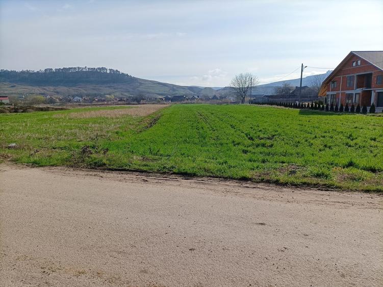 Vanzare teren in localitatea Bonțida