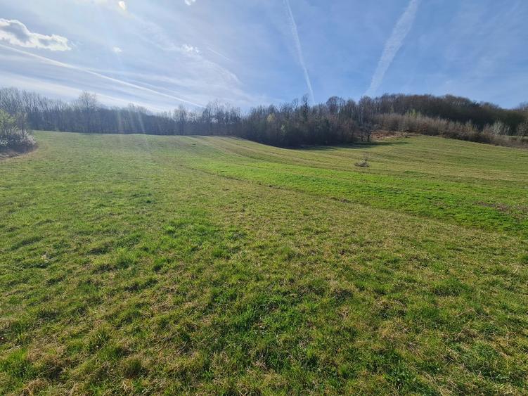 Proprietar vand casa+ teren 13000mp, Steia, Tomesti, jud. Hunedoara, 20km de Bra